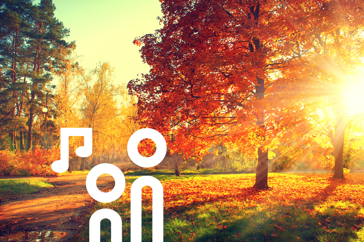 Herbstlicher Park.